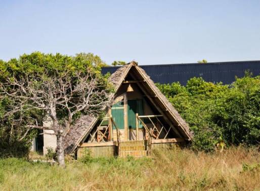 https://www.saadani.co.tz/Ngiri Room