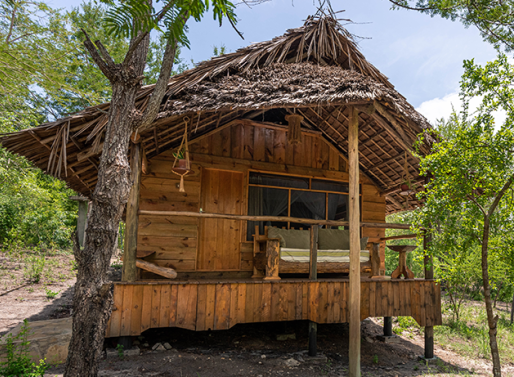 https://www.saadani.co.tz/Jane Banda