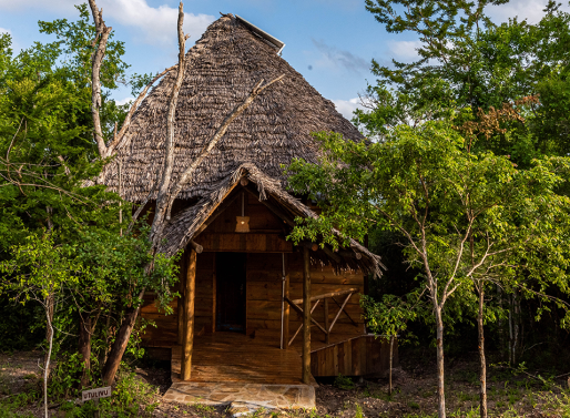 https://www.saadani.co.tz/Utulivu Room
